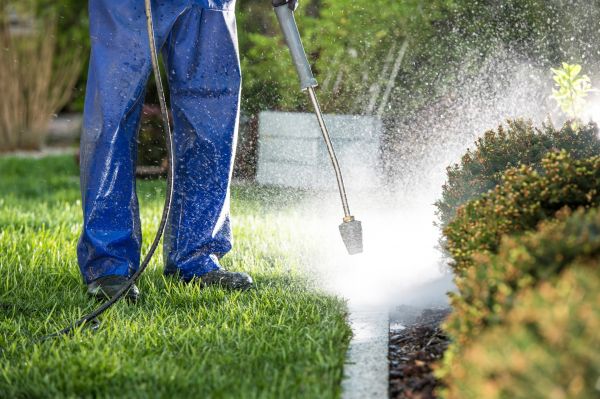 Cost of Curb Cleaning in San Marcos