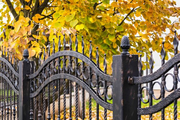 Wrought Iron Fence Washing in San Marcos