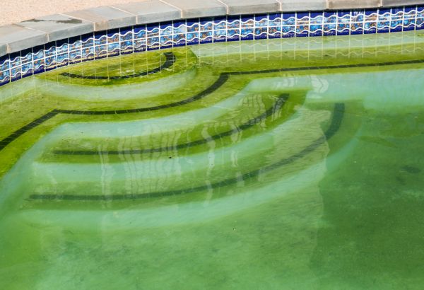 Pool Deck Algae Removal in San Marcos