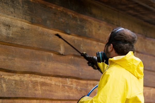 Cost of Cedar Siding Washing in San Marcos